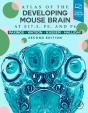Atlas Of The Developing Mouse Brain - Preview