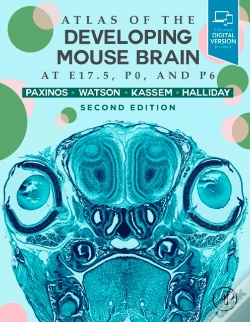 Capa do artigo Atlas Of The Developing Mouse Brain