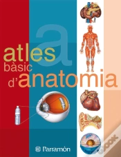 Capa do artigo Atles Bàsic D