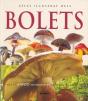Atles Il-Lustrat Dels Bolets - Preview