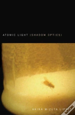 Capa do artigo Atomic Light (Shadow Optics)
