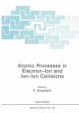 Atomic Processes In Electron-Ion And Ion-Ion Collisions - Preview
