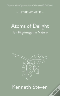 Capa do artigo Atoms Of Delight