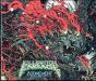 Atonement - CD - Preview