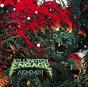 Atonement - CD - Preview