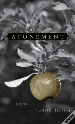 Capa do artigo Atonement