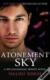 Capa do artigo Atonement Sky