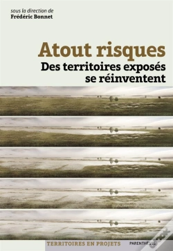 Capa do artigo Atout Risques