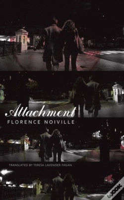 Capa do artigo Attachment