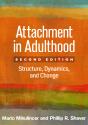 Attachment In Adulthood - Preview