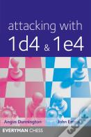 Attacking With 1d4 & 1e4