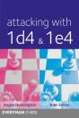 Attacking With 1d4 & 1e4 - Preview
