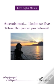 Capa do artigo Attends-Moi... L