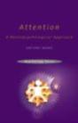 Attention - Preview