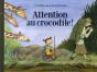 Attention Au Crocodile ! - Preview