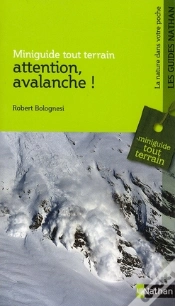 Capa do artigo Attention, Avalanche !