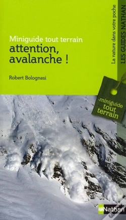 Capa do artigo Attention, Avalanche !