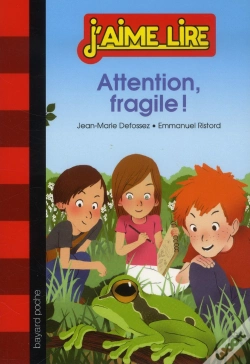 Capa do artigo Attention Fragile ! - N9 - (2013)