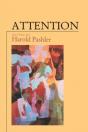 Attention - Preview