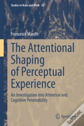 Attentional Shaping Of Perceptual Experience