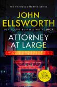 Attorney At Large