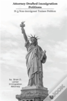 Attorney Drafted Immigration Petitions