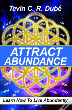Capa do artigo Attract Abundance