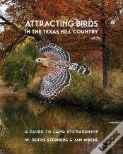 Attracting Birds In The Texas Hill Country