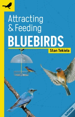 Capa do artigo Attracting & Feeding Bluebirds