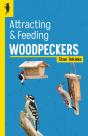 Attracting & Feeding Woodpeckers - Preview