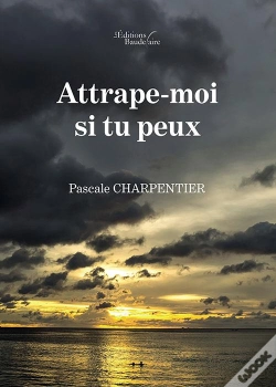 Capa do artigo Attrape-Moi Si Tu Peux