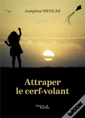 Attraper Le Cerf-Volant