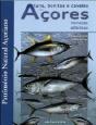 Atuns, Bonitos e Cavalas dos Açores - Preview