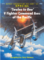 Â€˜Twelve To Oneâ€™ V Fighter Command Aces Of The Pacific - Preview