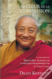 Au Coeur De La Compassion
