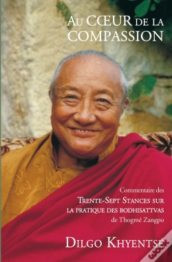 Capa do artigo Au Coeur De La Compassion