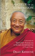 Au Coeur De La Compassion