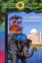 Au Coeur De L'Inde N40 - Preview