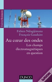 Au Coeur Des Ondes ; Les Champs Électromagnétiques En Question