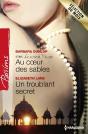 Au Coeur Des Sables - Un Troublant Secret - Preview