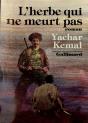 Au-Dela De La Montagne - Iii - L'Herbe Qui Ne Meurt Pas - Preview