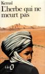 Au-Dela De La Montagne - Iii - L'Herbe Qui Ne Meurt Pas - Preview