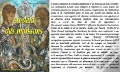 Capa do artigo Au-Dela Des Moissons - 12