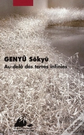 Au-Delà Des Terres Infinies