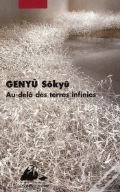 Capa do artigo Au-Delà Des Terres Infinies