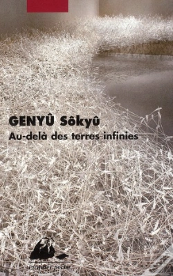 Capa do artigo Au-Delà Des Terres Infinies