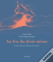 Capa do artigo Au Feu Du Desir Meme