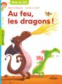 Au Feu, Les Dragons ! - Preview