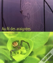 Au Fil Des Araignées