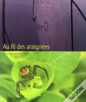 Capa do artigo Au Fil Des Araignées